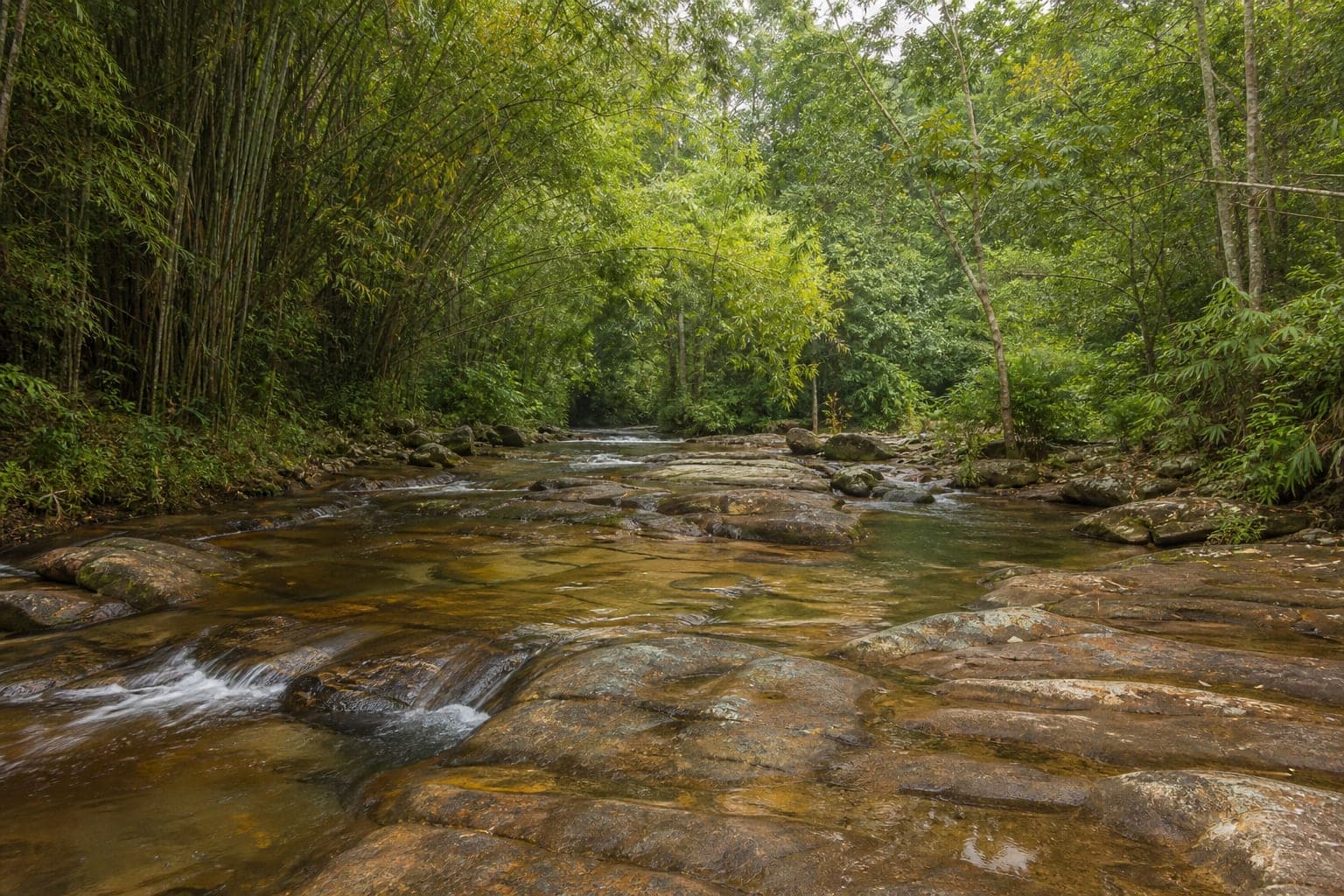 Wang Than Thong Waterfall Forest Park — park photo
