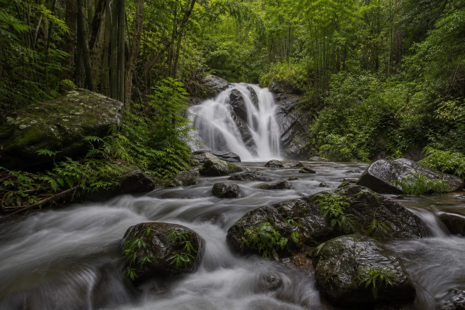 Wiang Kosai National Park — park photo