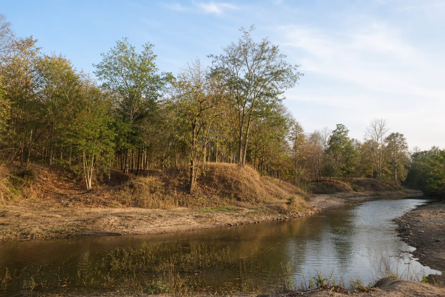 Wiang Lo Historical Forest Park — park photo