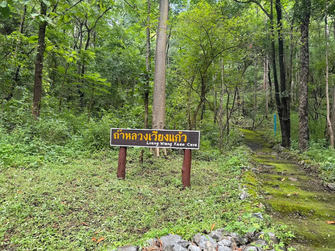 Doi Wiang Kaeo Forest Park