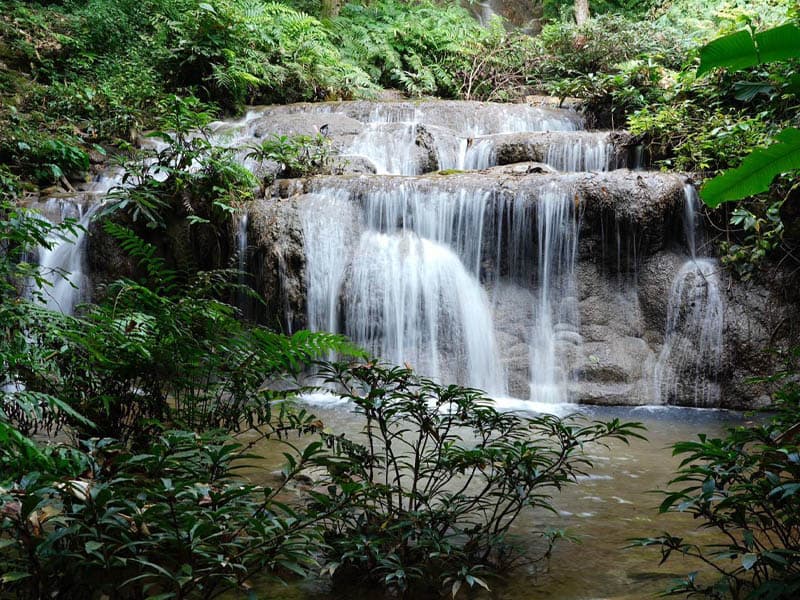 Hua Mae Kham Forest Park