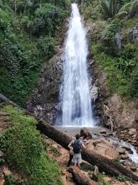 Huai Nam Un Forest Park