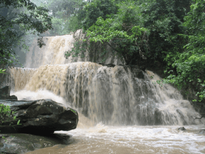 Huai Tad Thong Forest Park