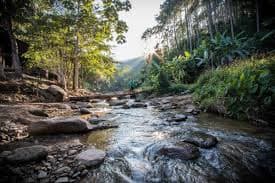 Huai Kang Pla Waterfall Forest Park