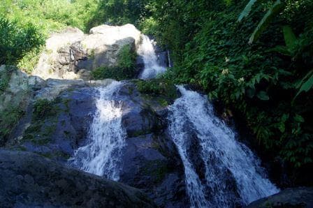 Si Chomphu Forest Park