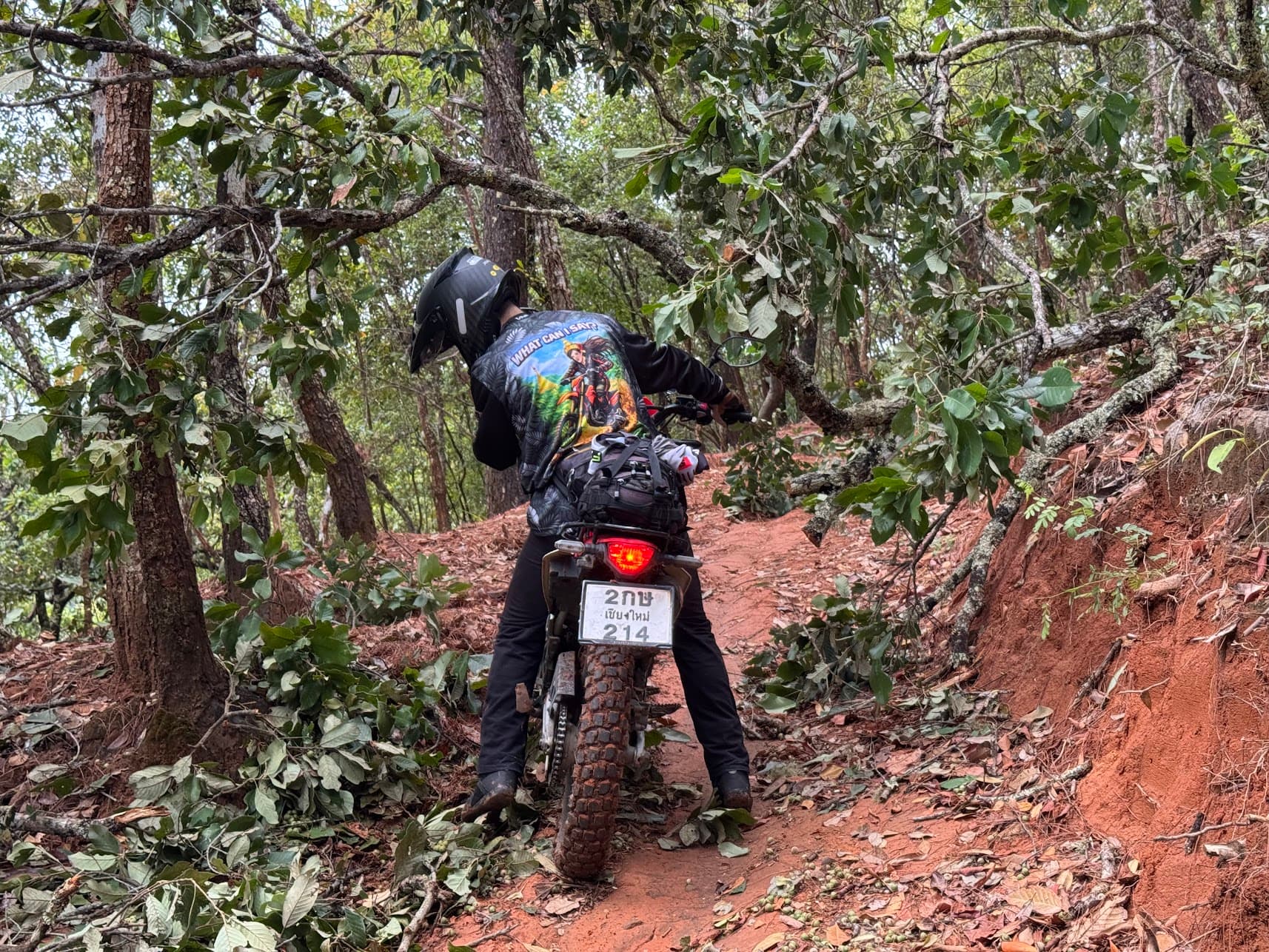 Pai Border Loop