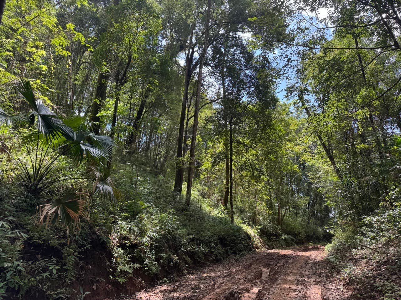 The Ban So Bae Loop Near Phang Ma Pha