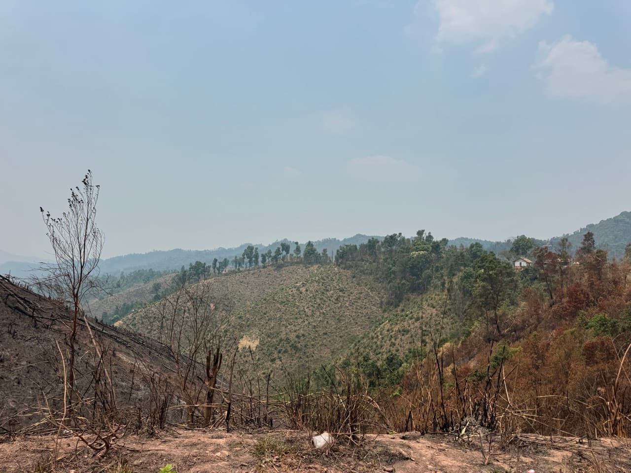 Image 13