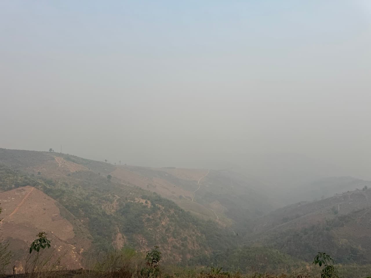 Image 23