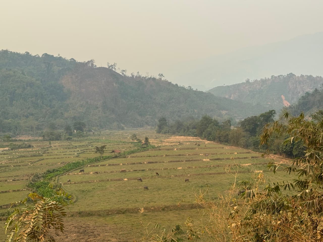 Anouvong to Vang Vieng