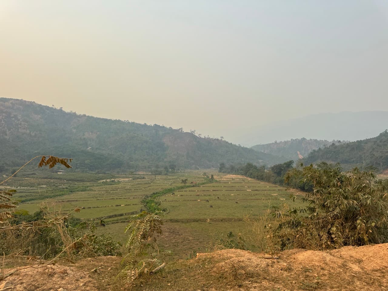 Anouvong to Vang Vieng