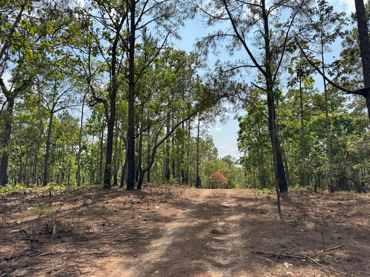 Hot to Om Koi on Dirt Roads