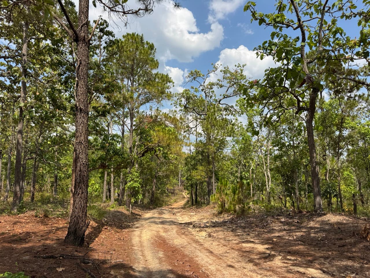 Hot to Om Koi on Dirt Roads