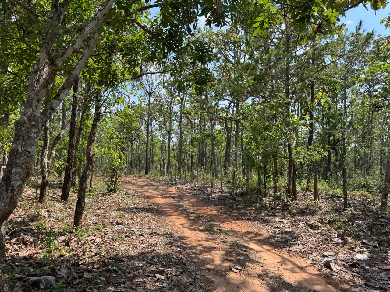 Hot to Om Koi on Dirt Roads