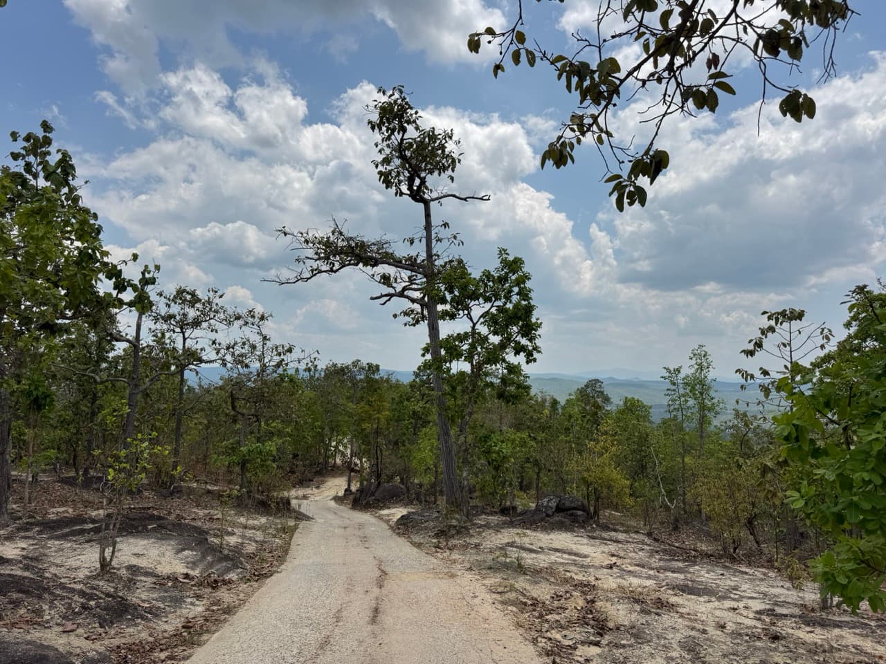 Hot to Om Koi on Dirt Roads