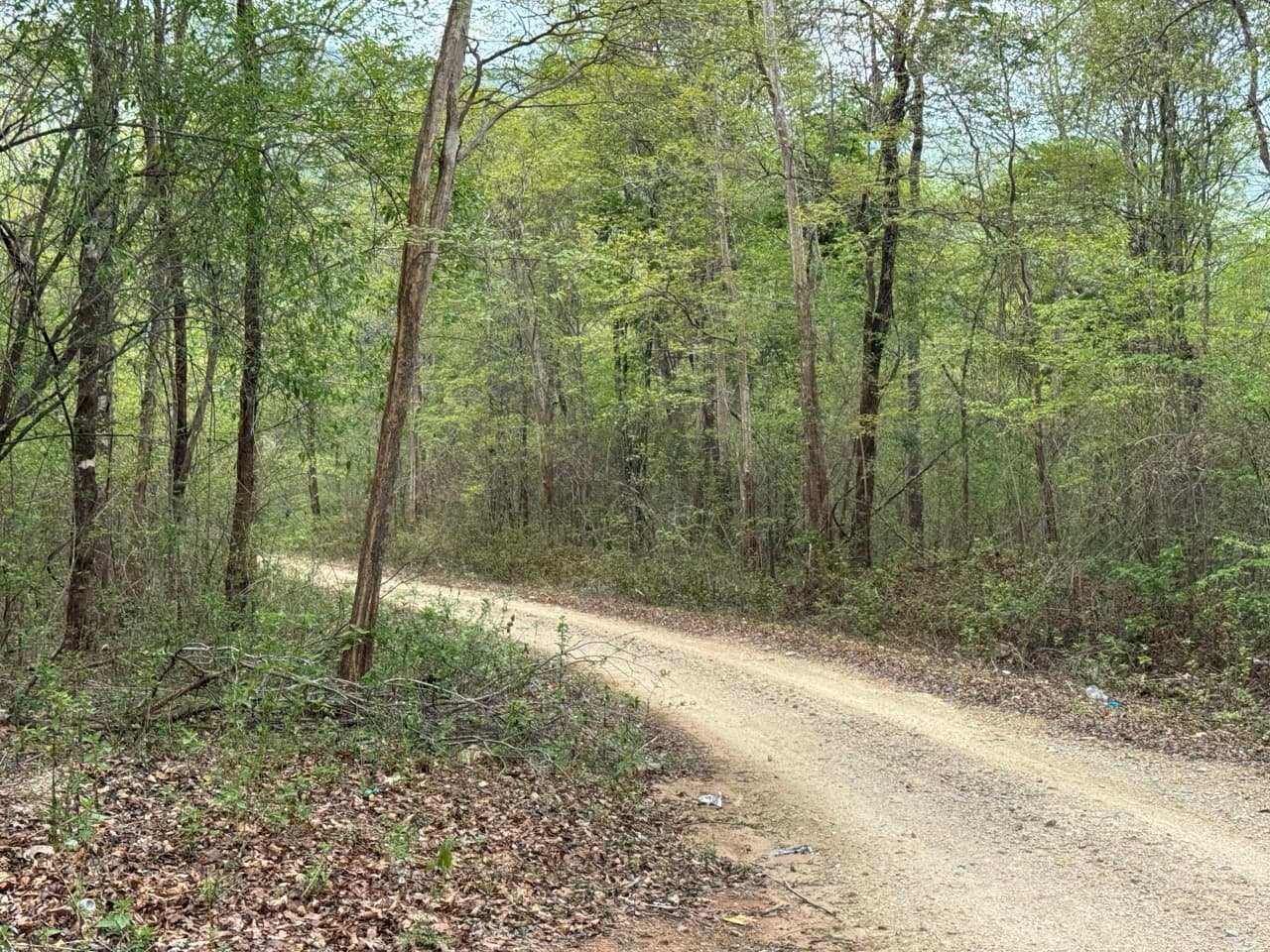 Hot to Om Koi on Dirt Roads