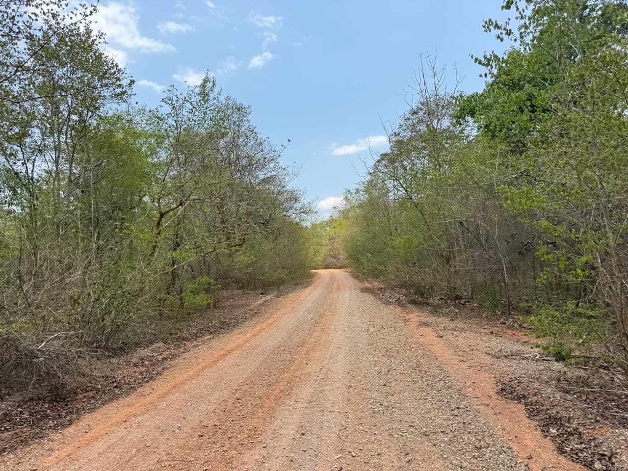 Hot to Om Koi on Dirt Roads