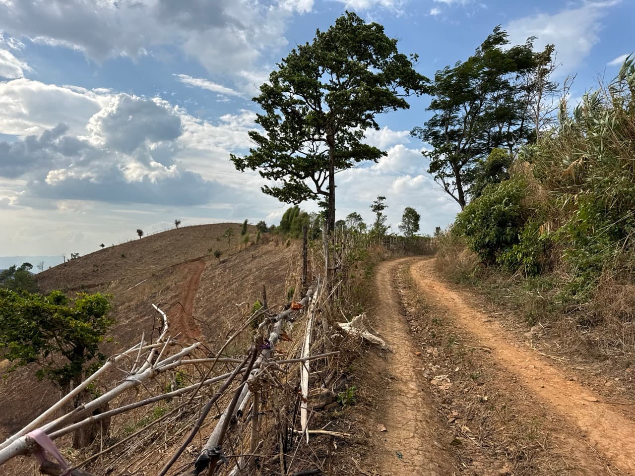 Om Koi to Mae Sariang Off Road