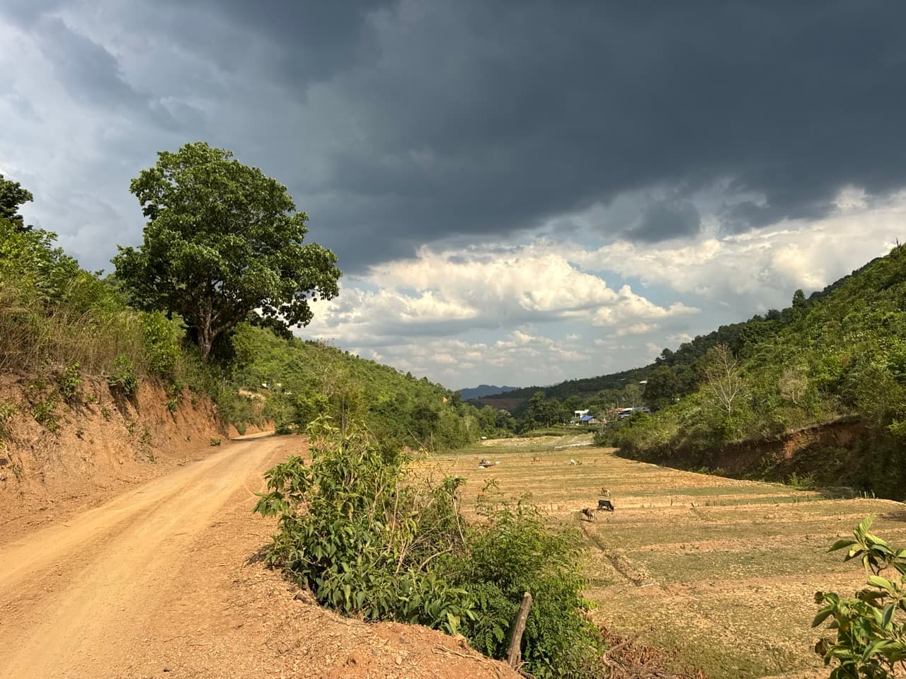 Om Koi to Mae Sariang Off Road