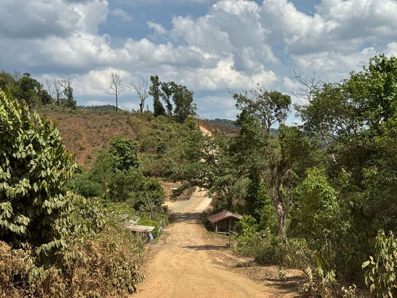 Om Koi to Mae Sariang Off Road