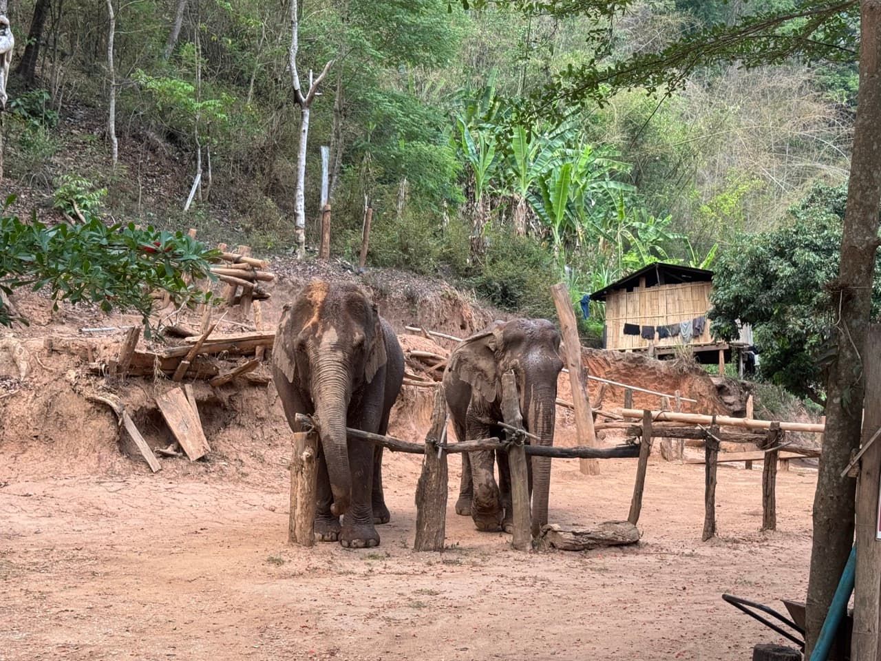 Pai to Chiang Mai via Muang Khong and Mae Taeng