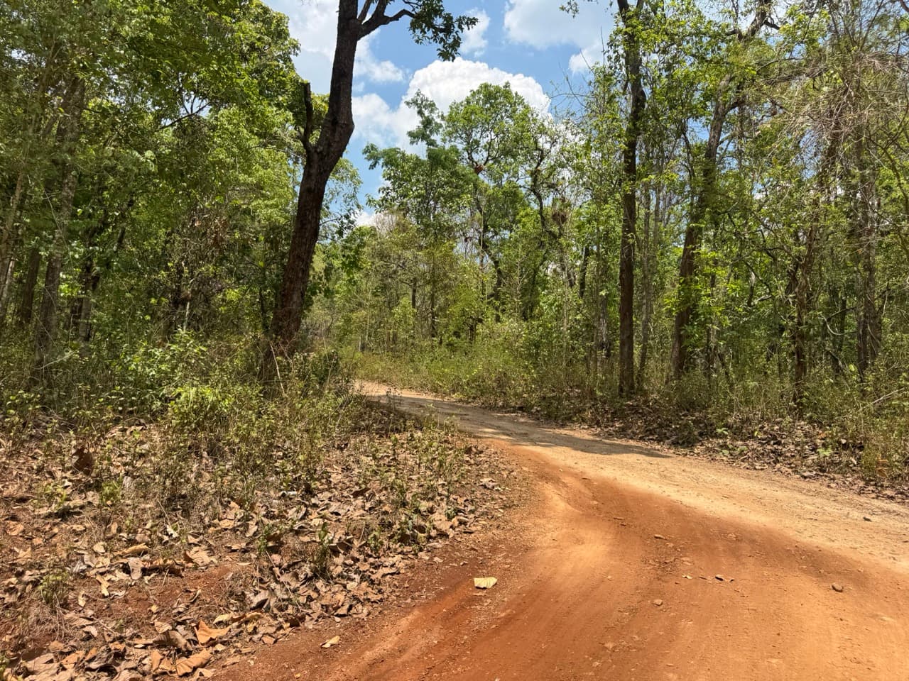 Pai to Chiang Mai via Muang Khong and Mae Taeng