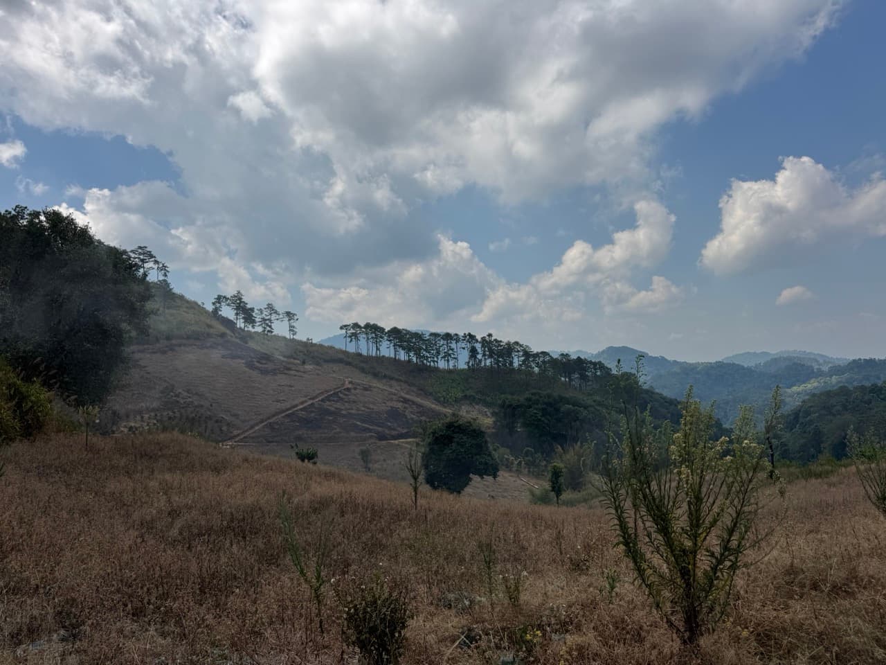 Pai to Chiang Mai via Muang Khong and Mae Taeng