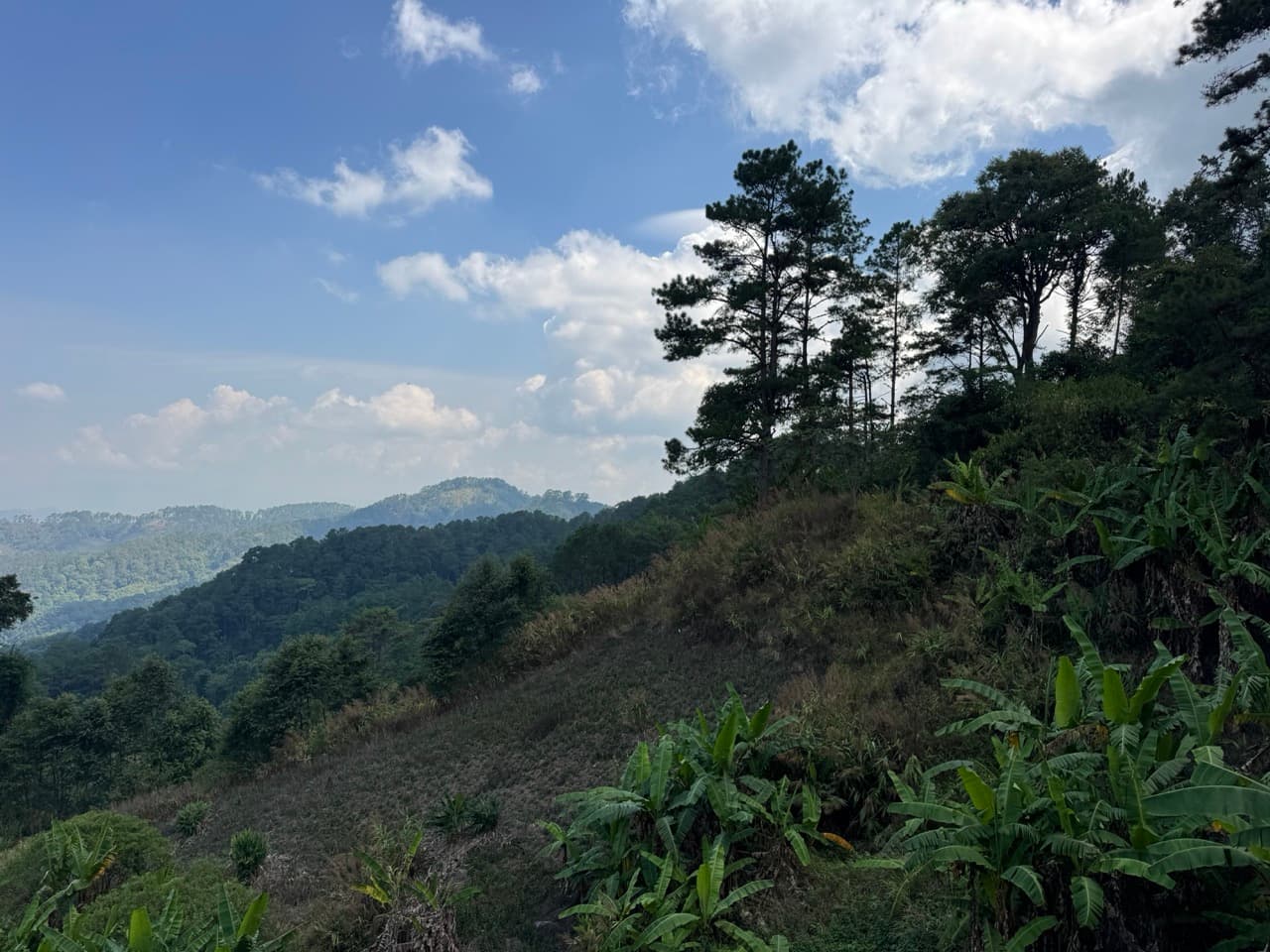 Pai to Chiang Mai via Muang Khong and Mae Taeng