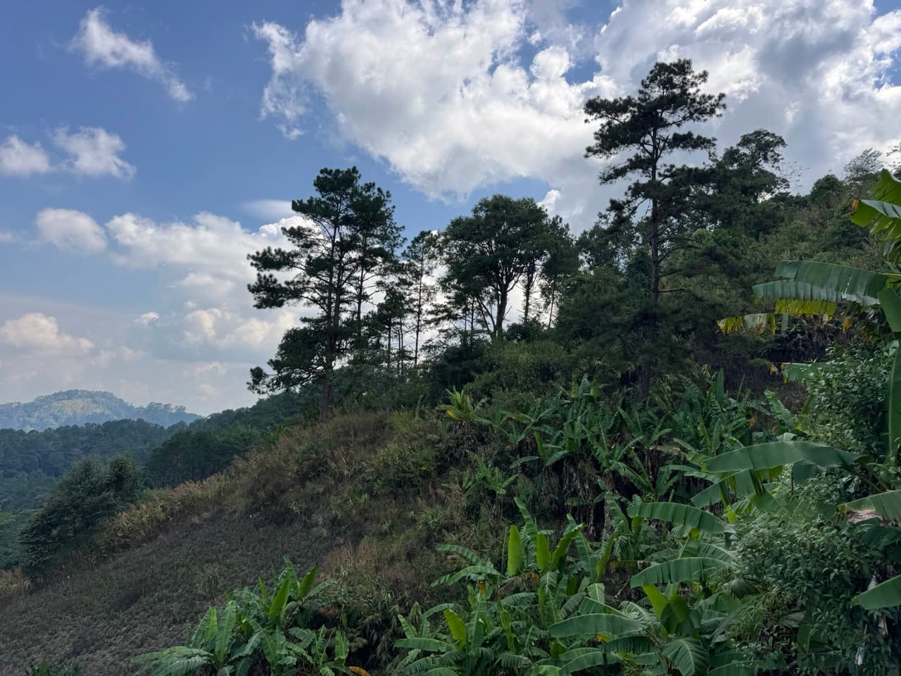 Pai to Chiang Mai via Muang Khong and Mae Taeng
