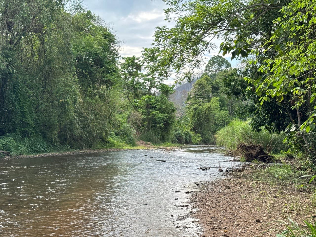 Mae Sariang to Khun Yuam Off Road