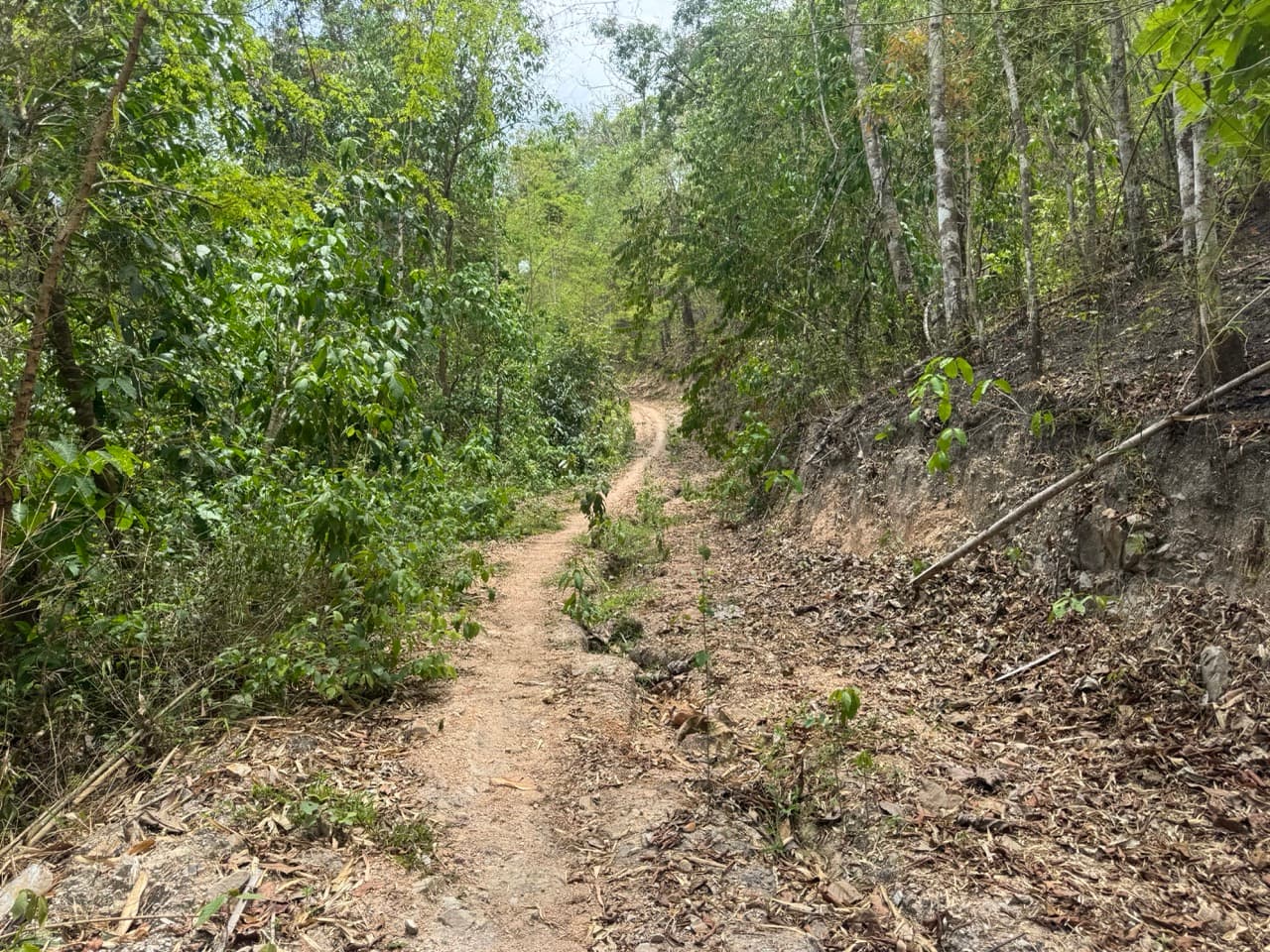 Mae Sariang to Khun Yuam Off Road