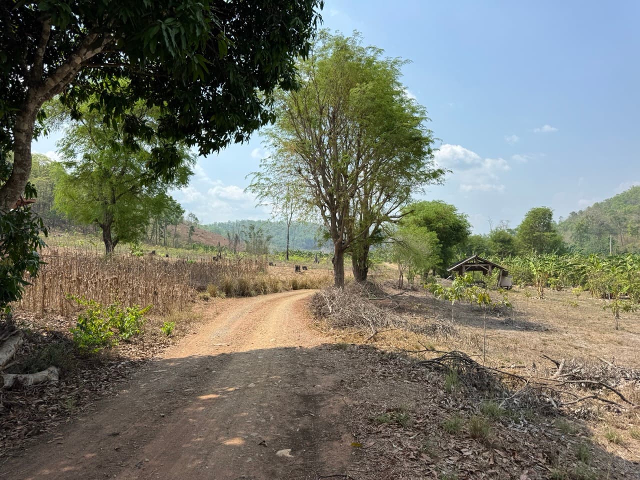 Mae Sariang to Khun Yuam Off Road