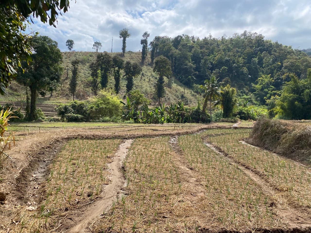 The Mae Chaem Western Dirt Loop