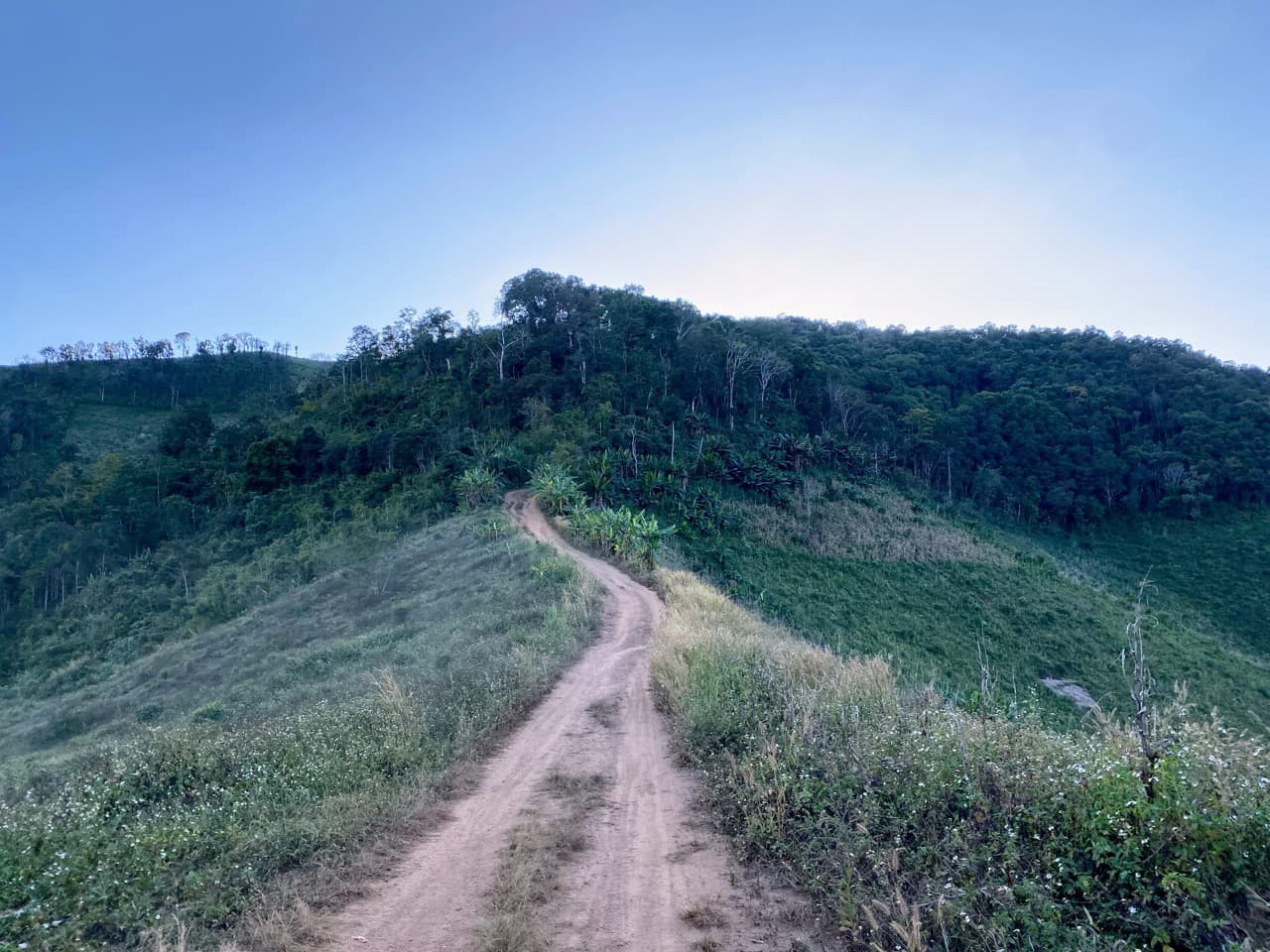 The Long Way to Pai