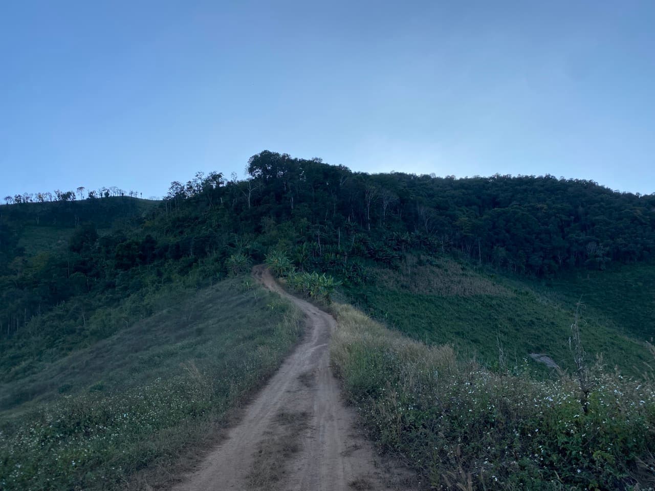 The Long Way to Pai