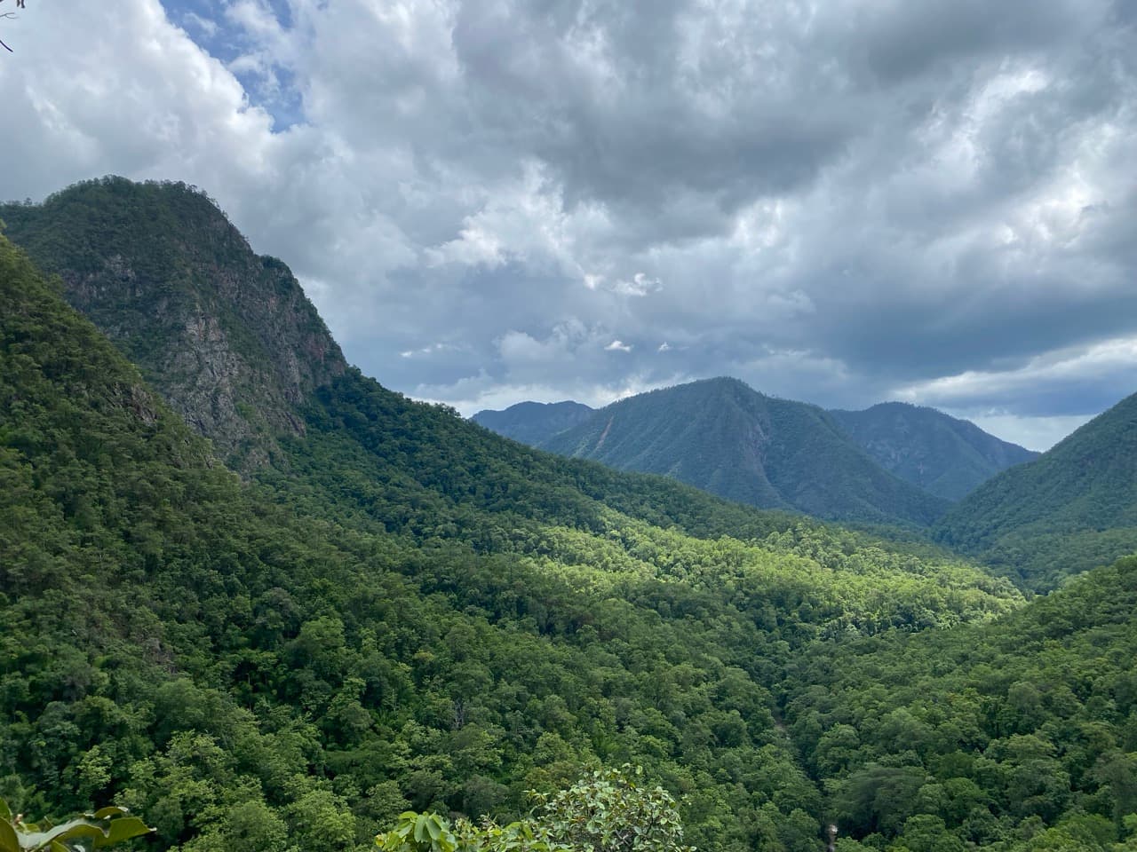The Old Elephant Trail