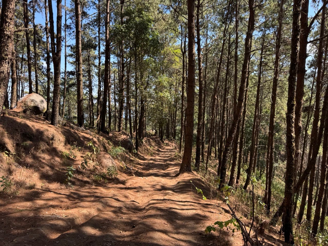 The Ramming Tea Estate to Chiang Dao