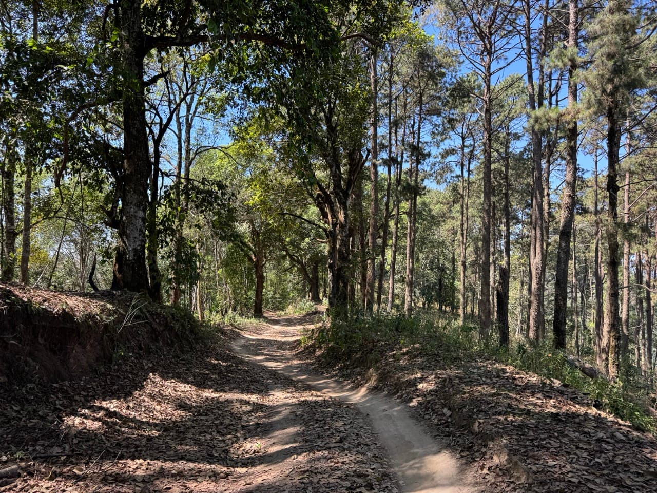 The Ramming Tea Estate to Chiang Dao