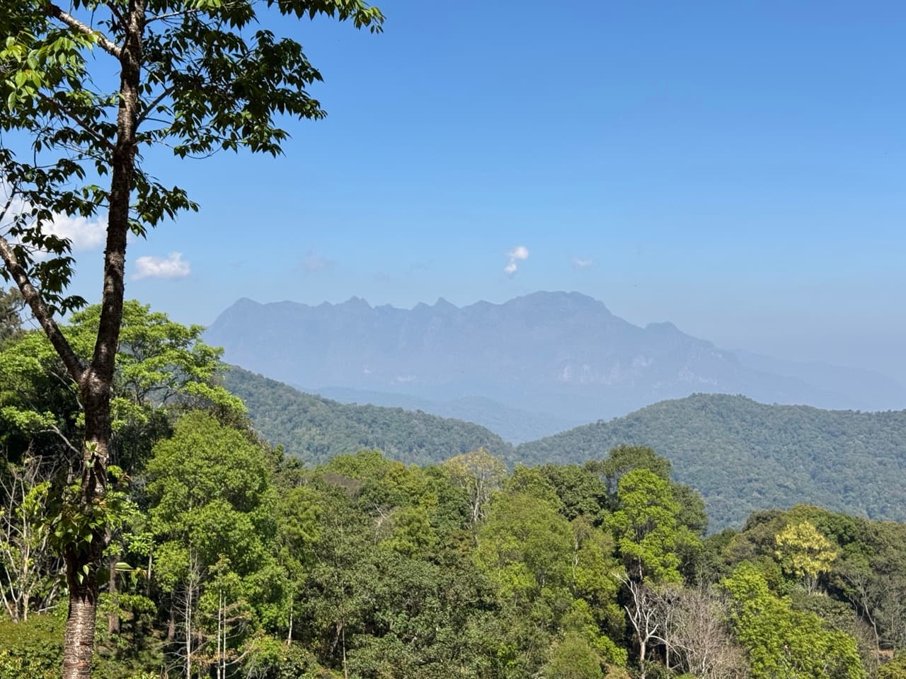 The Ramming Tea Estate to Chiang Dao