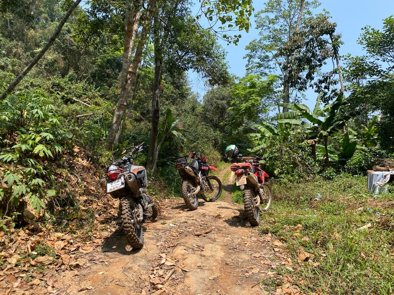 Lampang Fallen Trees Loop