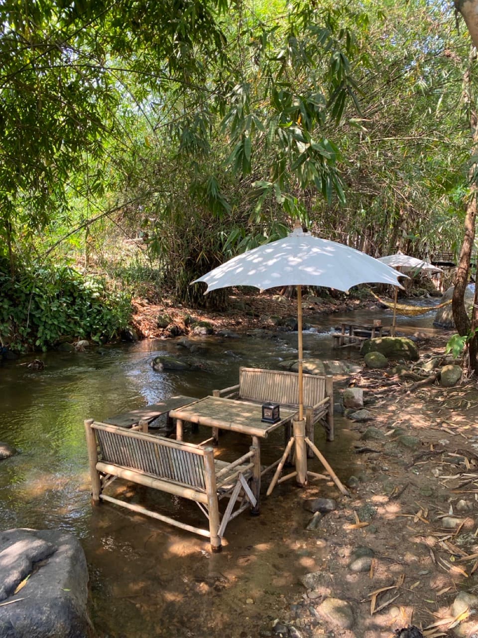 Lampang Fallen Trees Loop