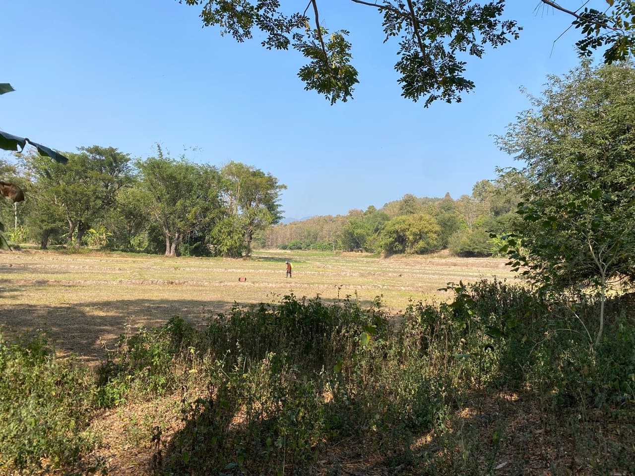 Lampang Back-Roads