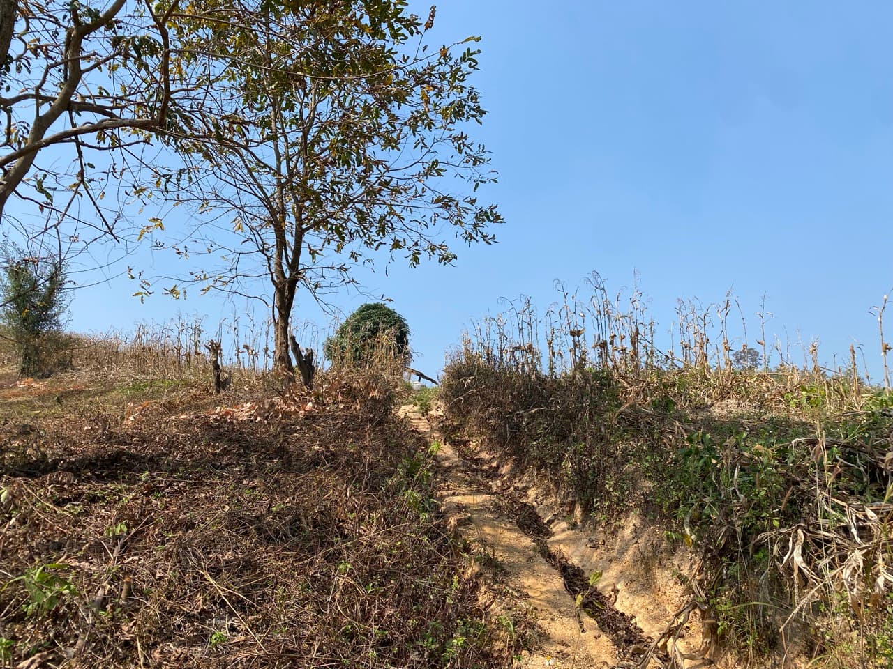 Lampang Back-Roads