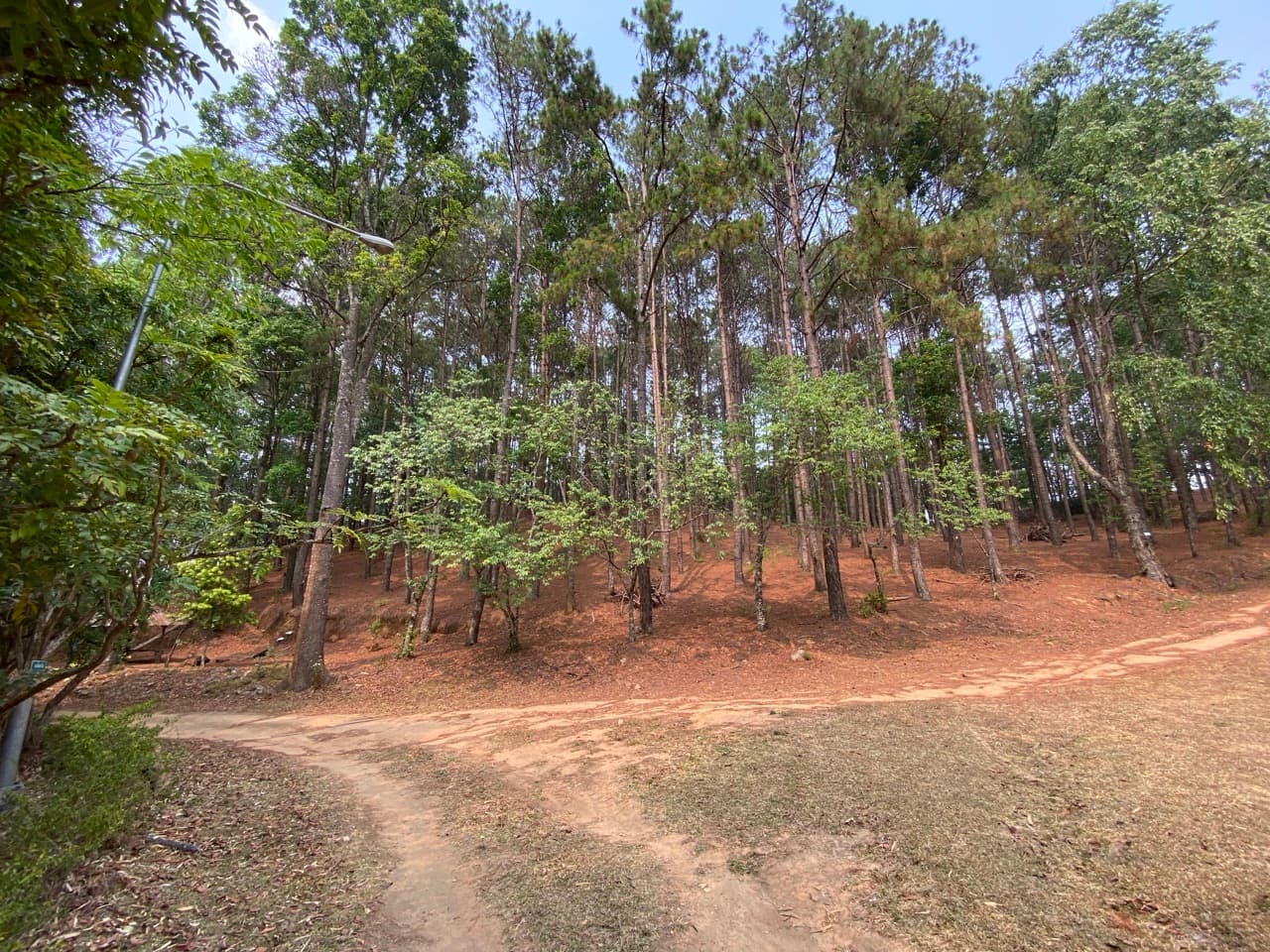 Chiang Mai to Pai Off-road - Option 1