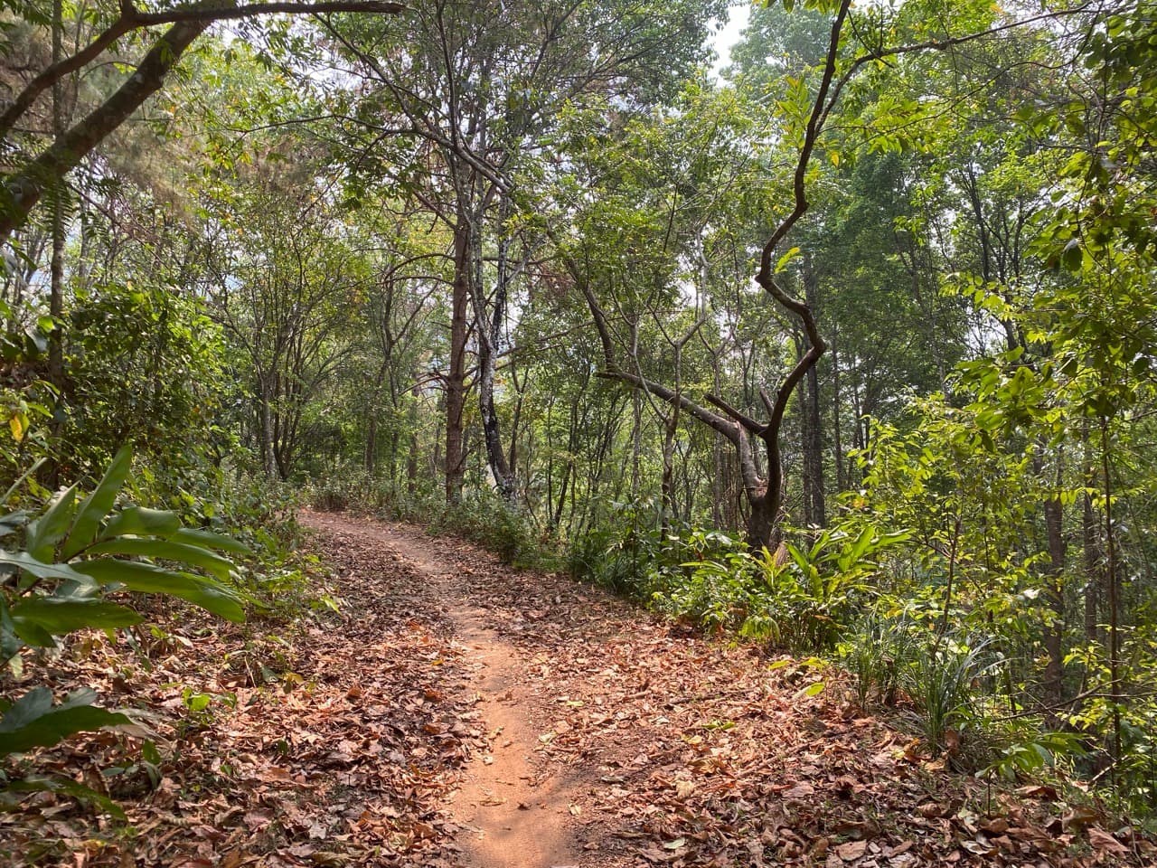 Chiang Mai to Pai Off-road - Option 1