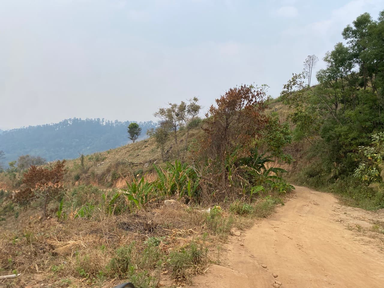 Chiang Mai to Pai Off-road - Option 1