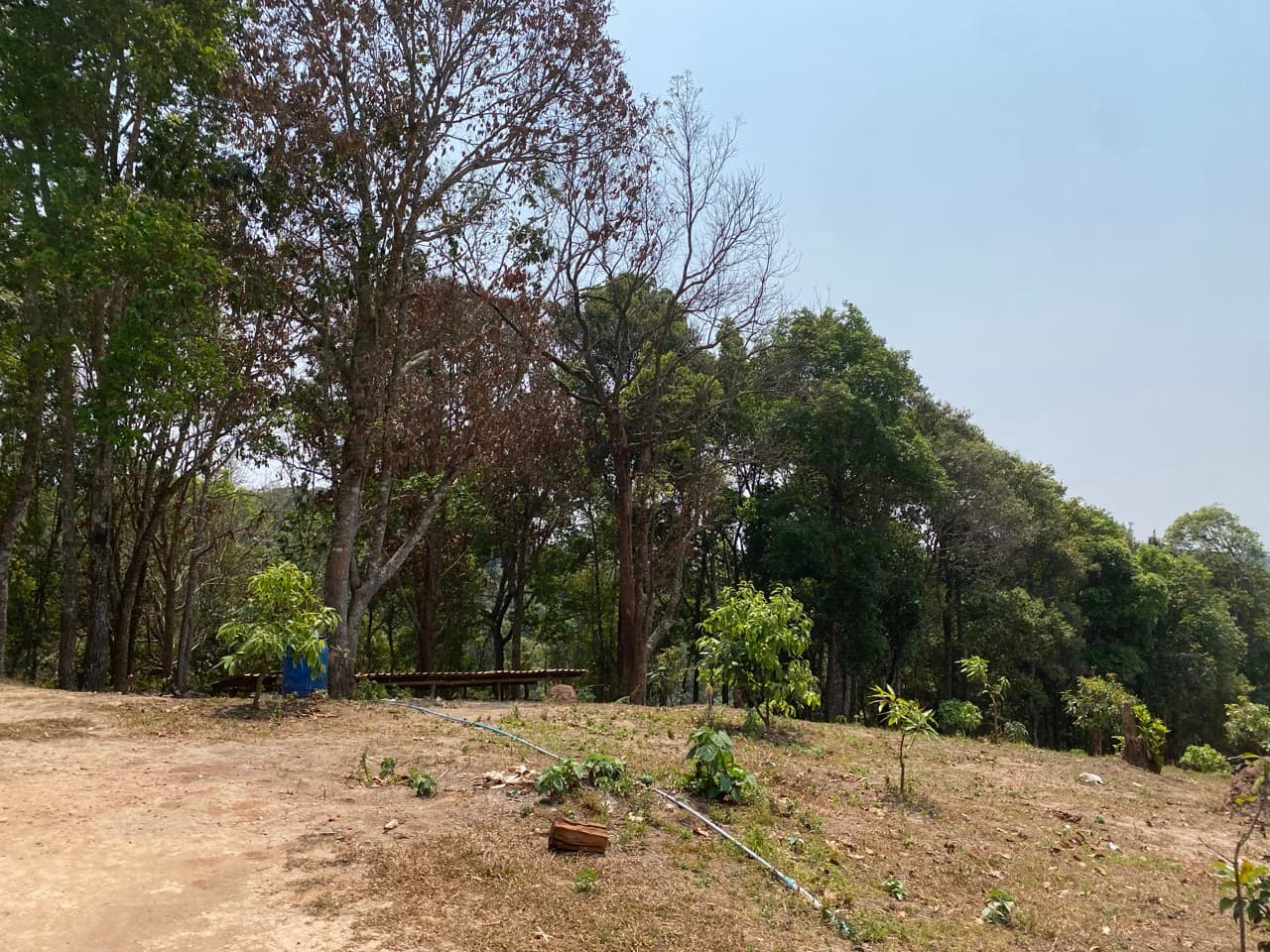 Chiang Mai to Pai Off-road - Option 1