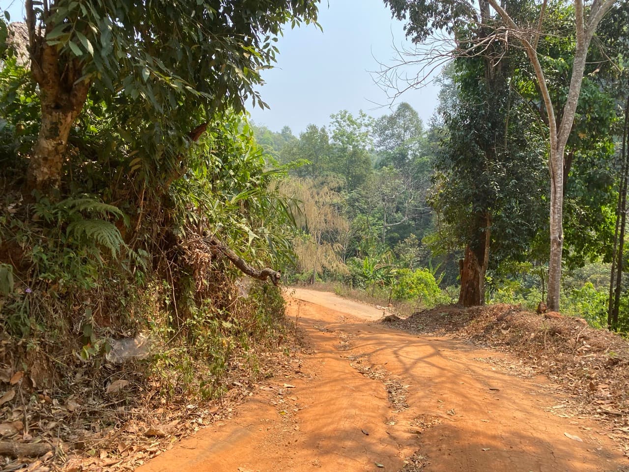 Chiang Mai to Pai Off-road - Option 1