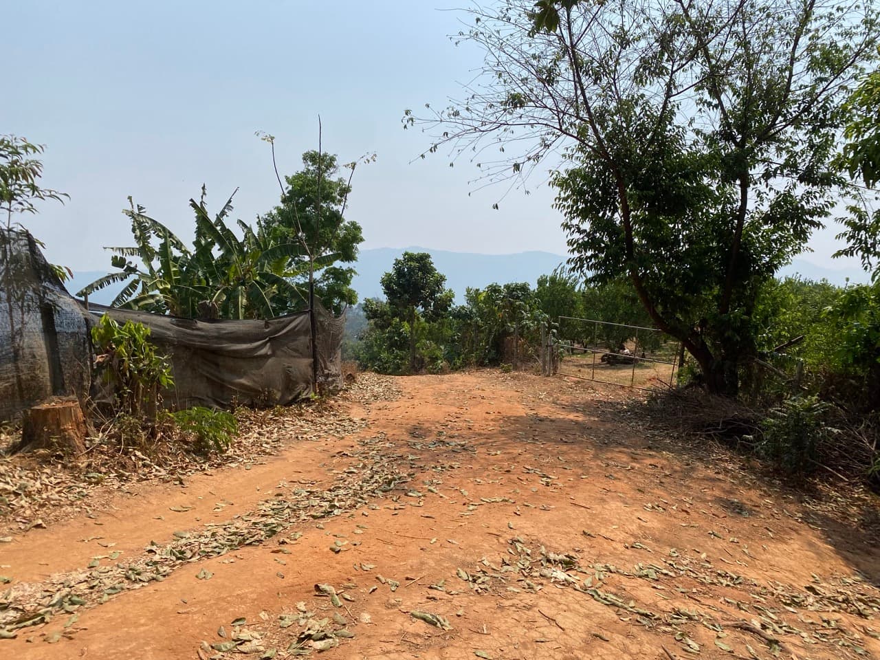 Chiang Mai to Pai Off-road - Option 1