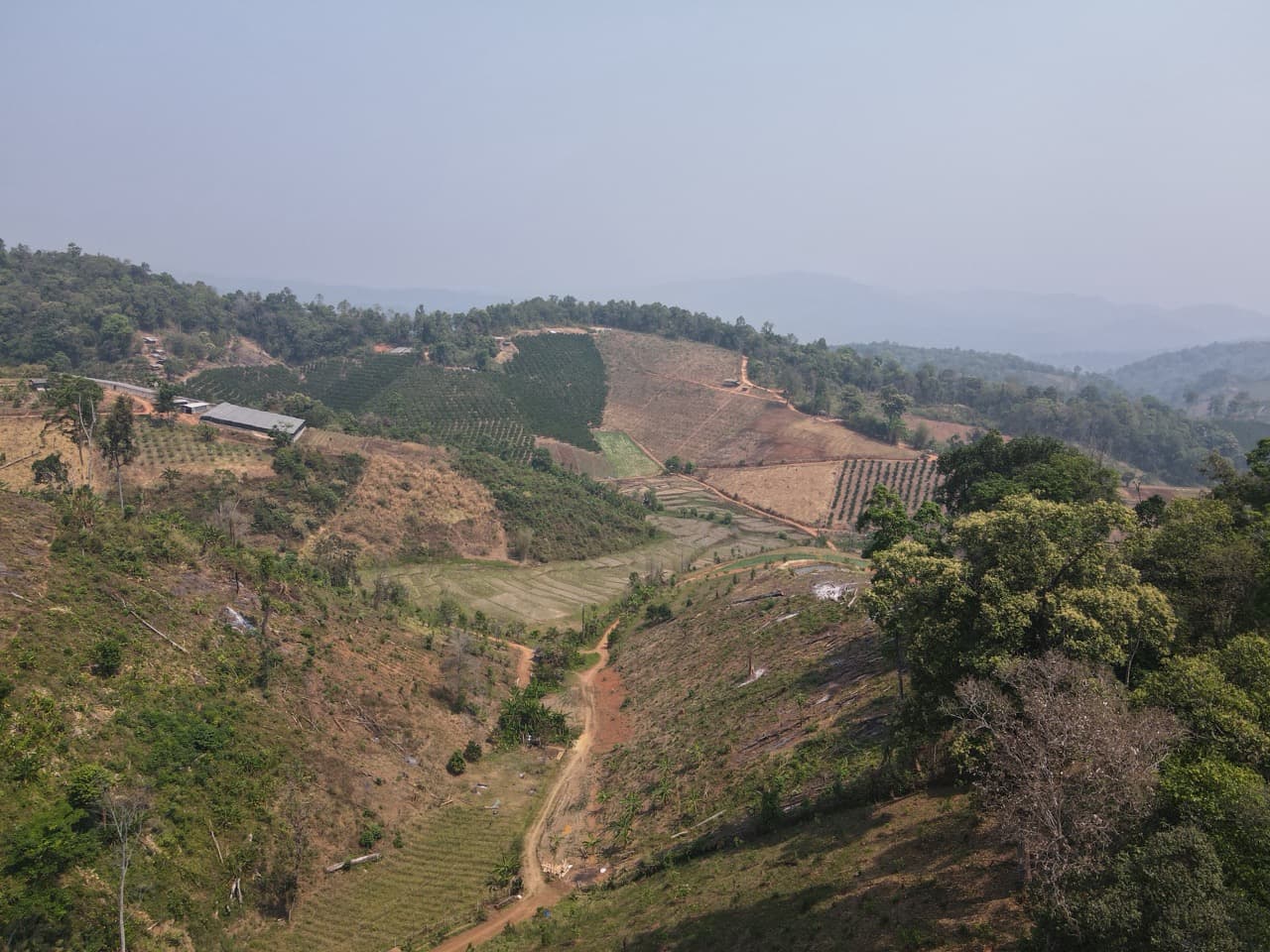Image 39